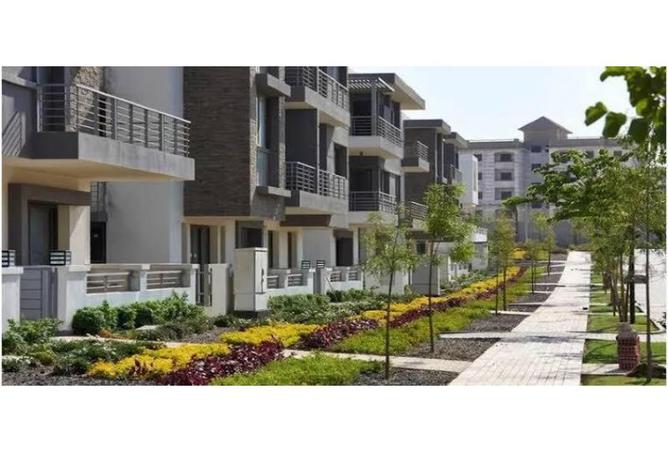 8216724 - Property Image 3