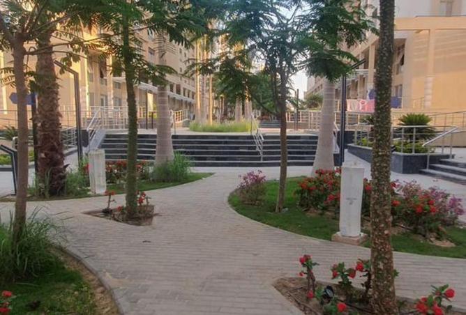 8387765 - صورة العقار 2