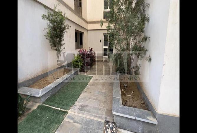 7906665 - Property Image 3