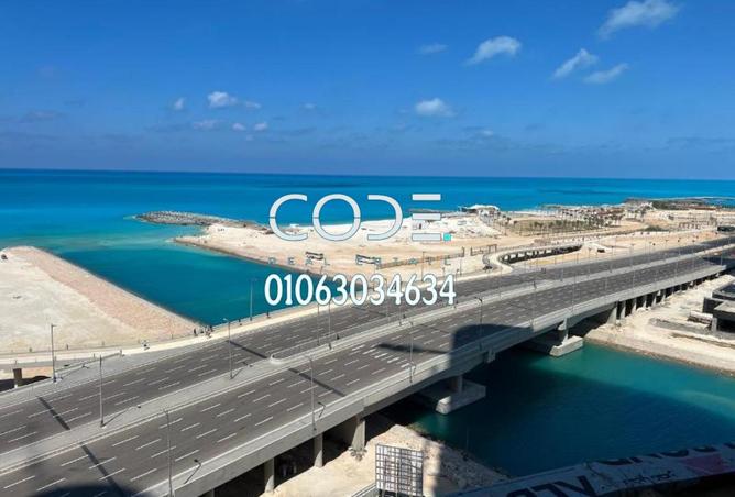 7691901 - صورة العقار 3