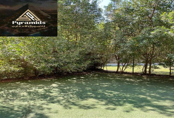 8368951 - صورة العقار 2