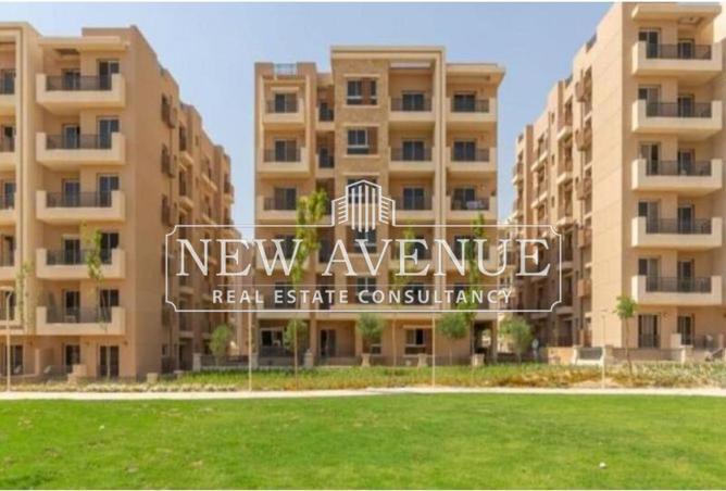 8243661 - Property Image 3