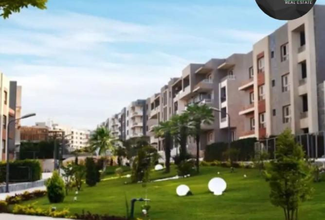 8047798 - Property Image 3
