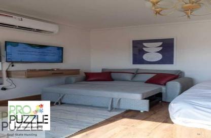 Apartment - 1 Bedroom - 1 Bathroom for rent in Sodic East - 6th District - New Heliopolis - Cairo