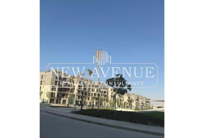 8373139 - Property Image 2