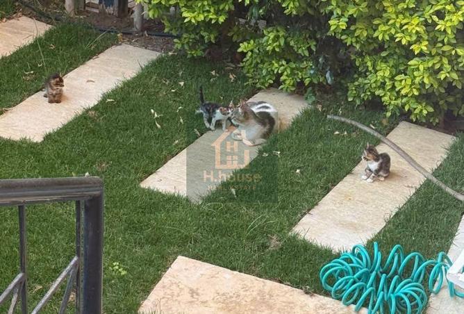 8174051 - Property Image 2