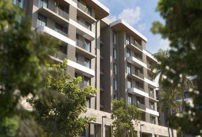 7987782 - Property Image 3