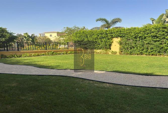 7982656 - Property Image 3