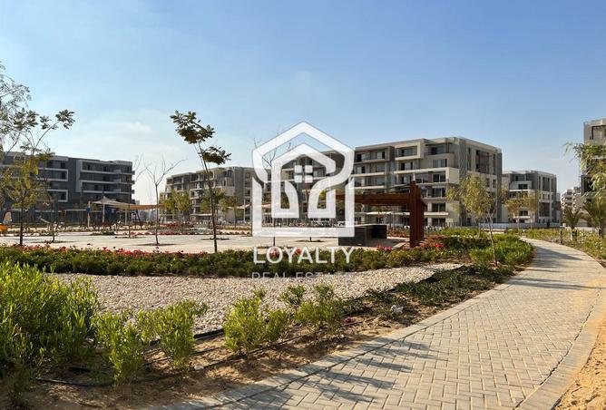8038256 - الصورة الرئيسية للعقار