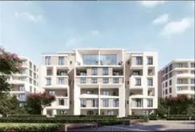 7980406 - Property Image 3