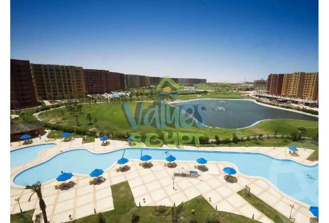 8172372 - صورة العقار 2