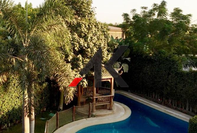 8206415 - Property Image 2