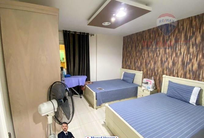 8288342 - Property Image 3