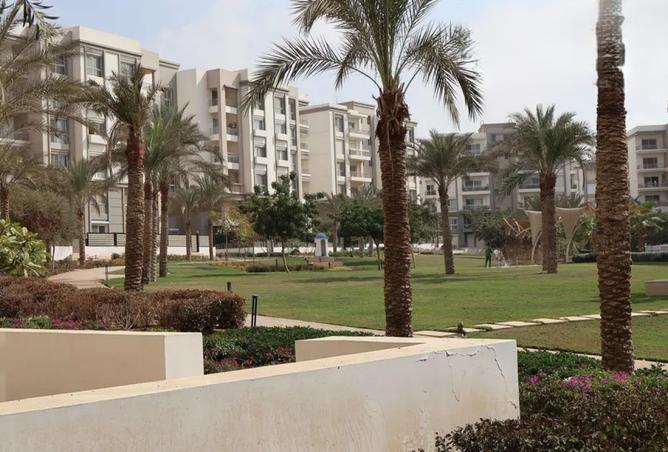 8558160 - صورة العقار 3