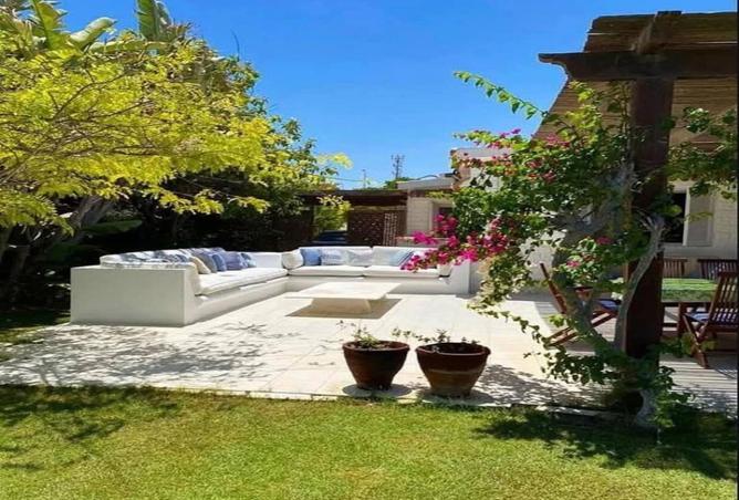 8156617 - صورة العقار 2