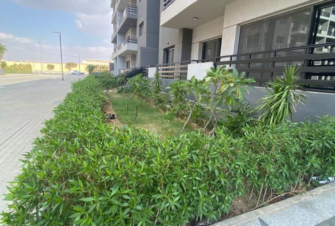 8242289 - الصورة الرئيسية للعقار