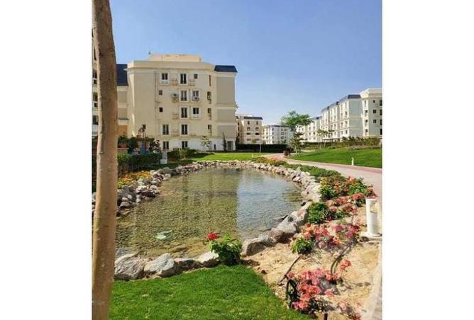 8043234 - Property Image 2
