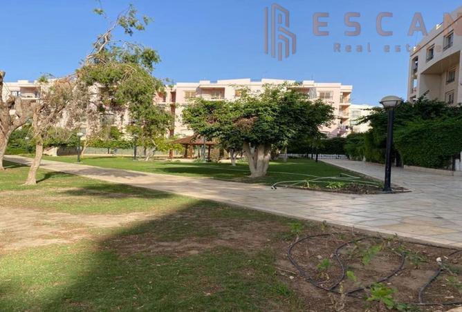 7914605 - صورة العقار 3