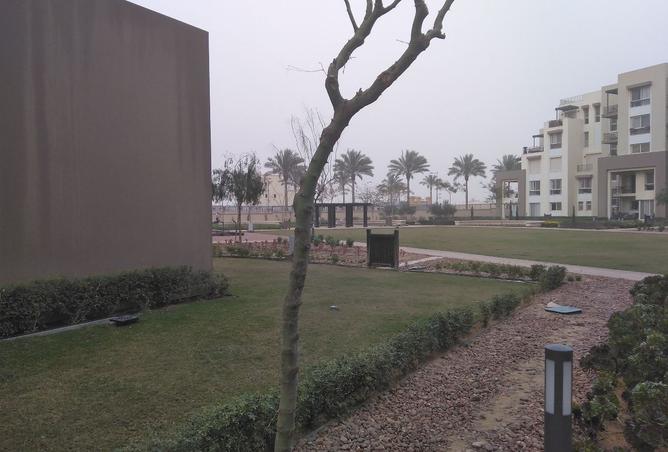 8164655 - صورة العقار 3