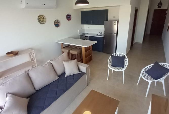 8537356 - Property Image 3