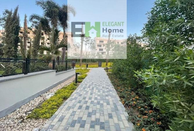 7995337 - Property Image 3