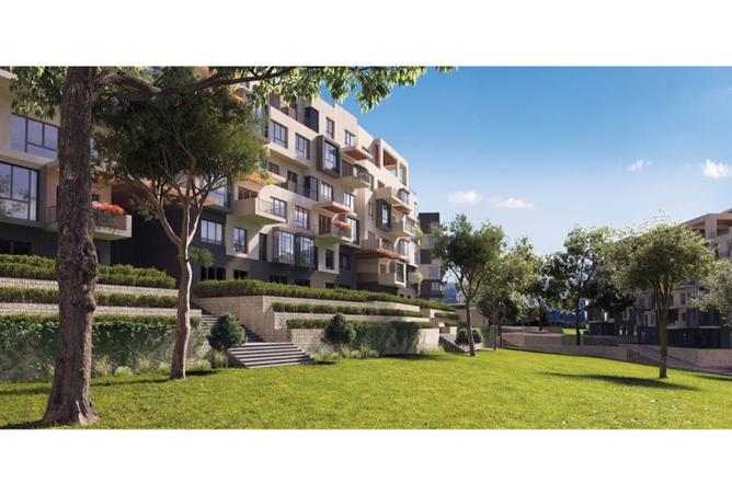 8258433 - Property Image 3