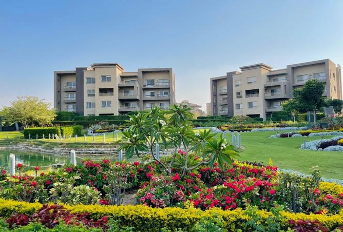 8072097 - Property Image 3
