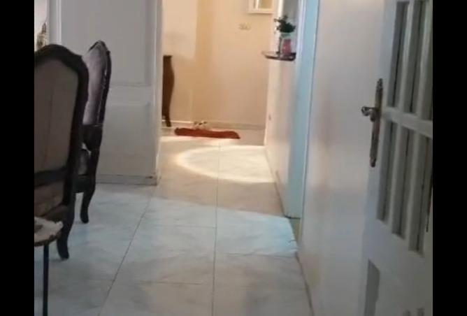 8300794 - الصورة الرئيسية للعقار