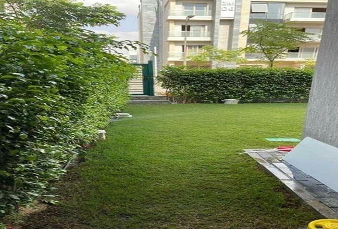 8108516 - صورة العقار 3
