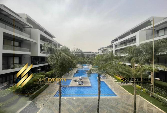 8243213 - Property Image 3