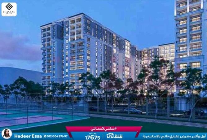 8386688 - Property Image 3