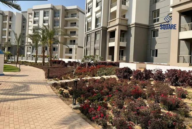 8543679 - Property Image 2