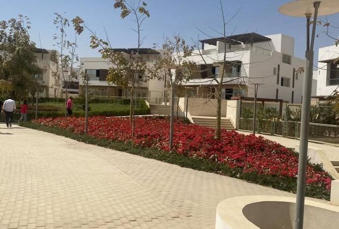 8373867 - صورة العقار 2