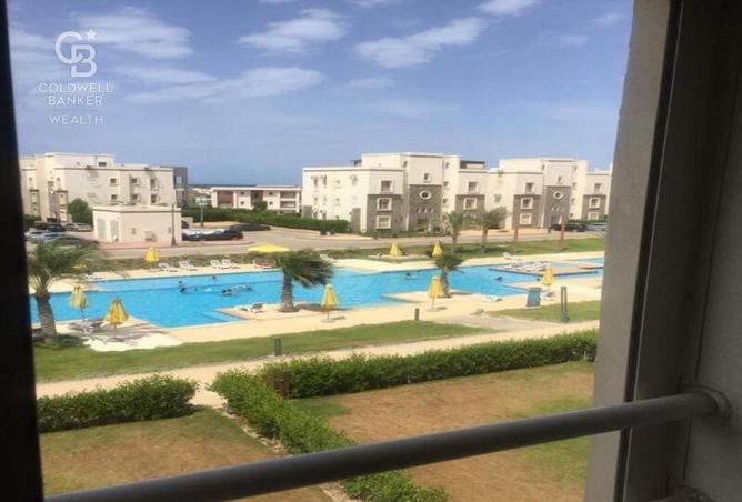 7908510 - صورة العقار 3