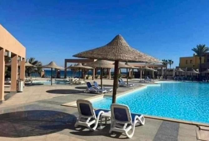 8488257 - Property Image 2