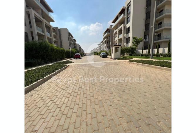 7992136 - Property Image 3
