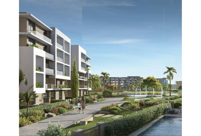 7913846 - Property Image 3