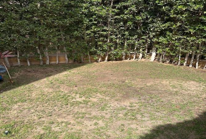 8284253 - صورة العقار 2