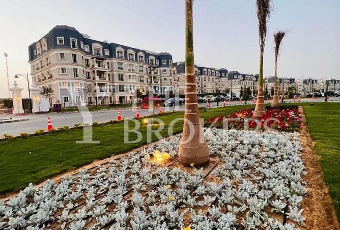 7954760 - صورة العقار 3