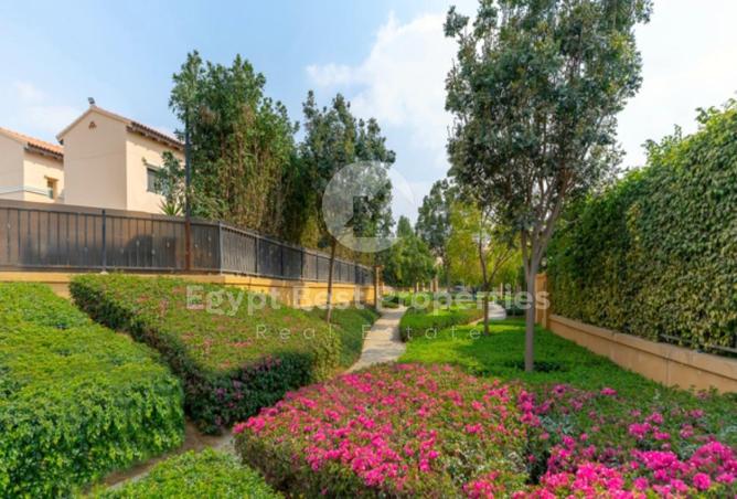 7982442 - Property Image 3