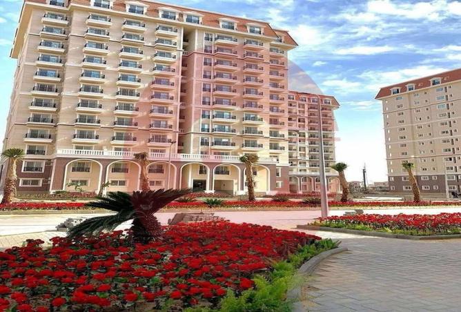 8249813 - Property Image 3