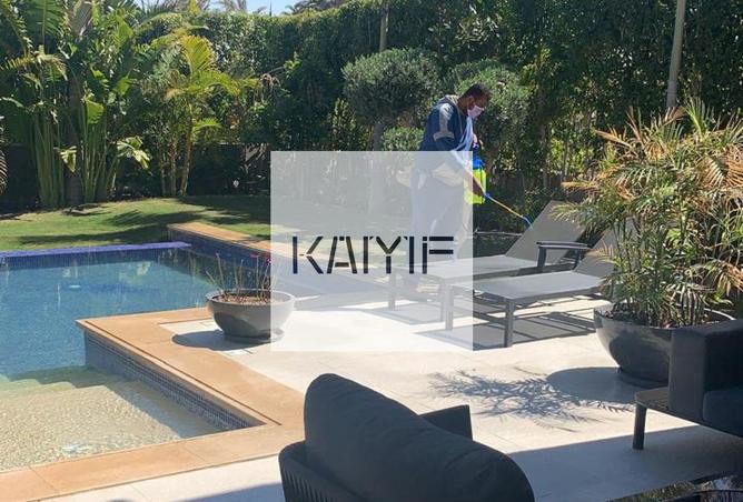 8432332 - Property Image 3