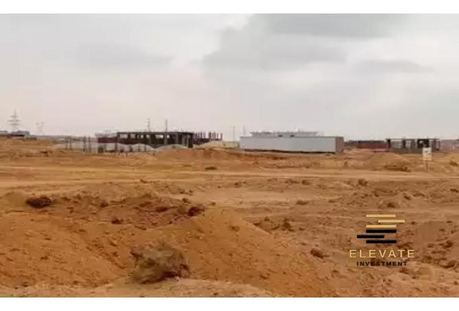 7966484 - صورة العقار 3