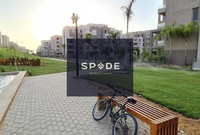 8376535 - Property Image 2