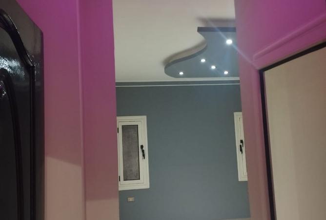 8043773 - Property Image 3