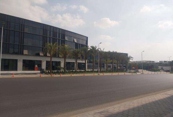 7913746 - الصورة الرئيسية للعقار