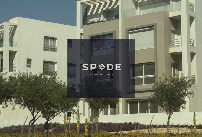 8293590 - Property Image 3