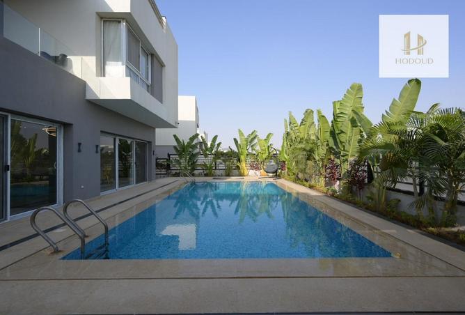 8377328 - Property Image 3