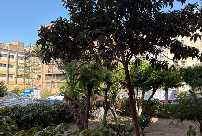 8138653 - الصورة الرئيسية للعقار