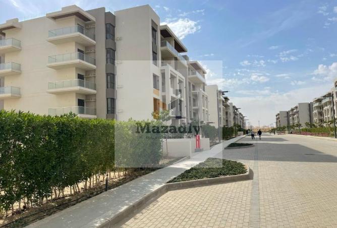 8181624 - Property Image 2